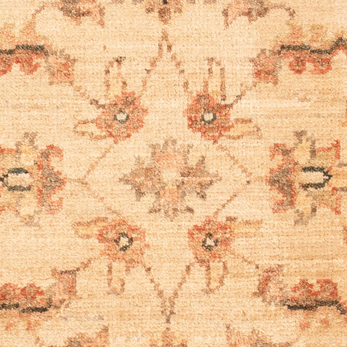 Tappeto Ziegler - 70 x 50 cm - beige
