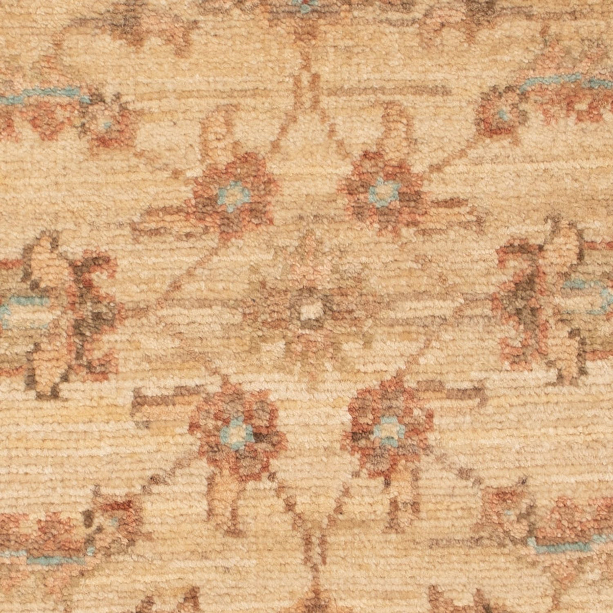 Tappeto Ziegler - 68 x 53 cm - beige