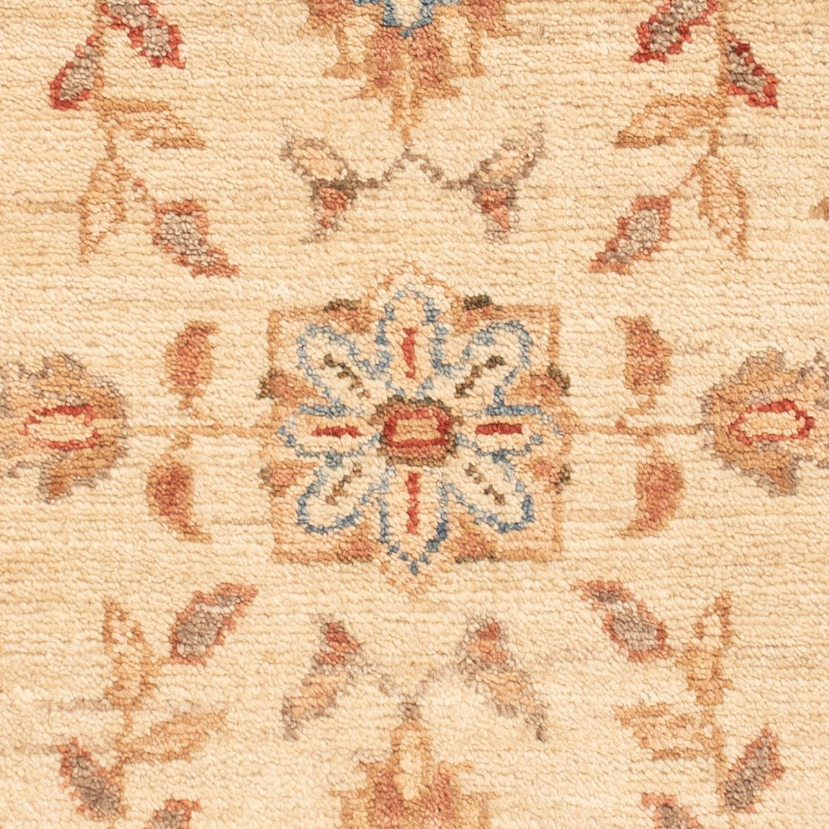 Tappeto Ziegler - 70 x 51 cm - beige