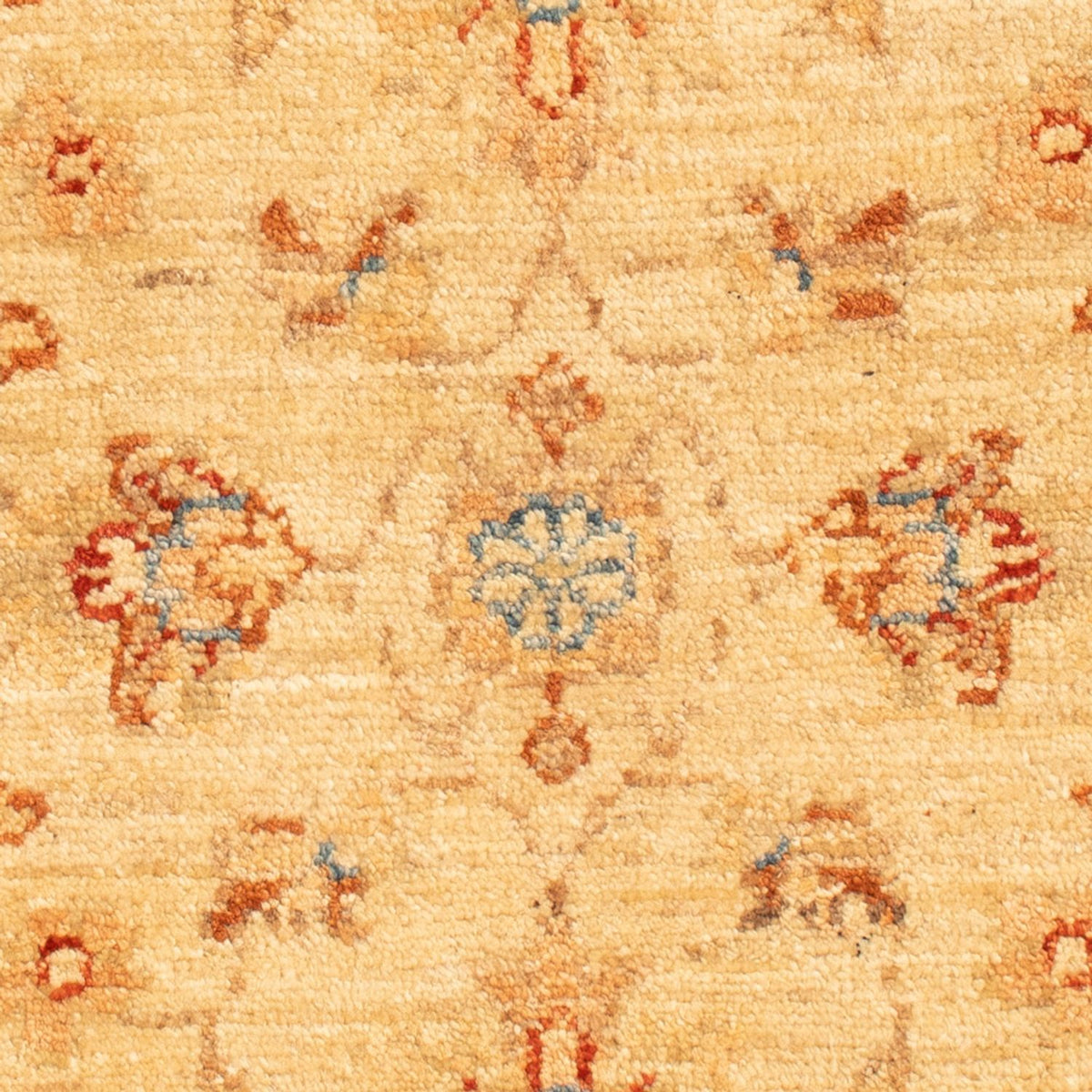 Tappeto Ziegler - 70 x 51 cm - beige