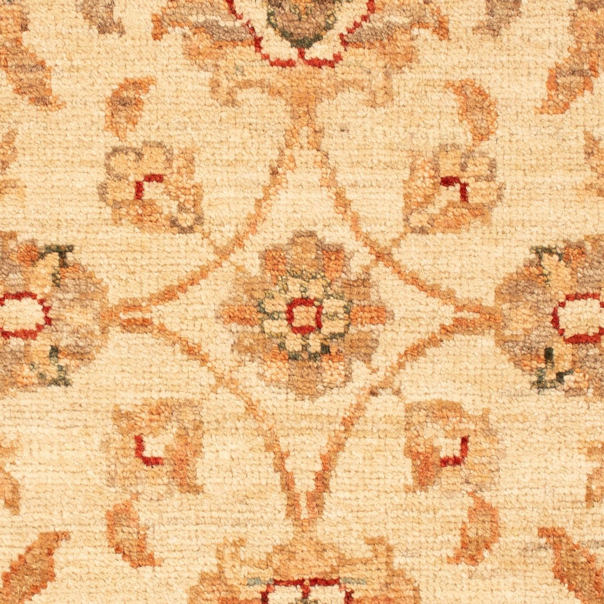 Tappeto Ziegler - 72 x 55 cm - beige