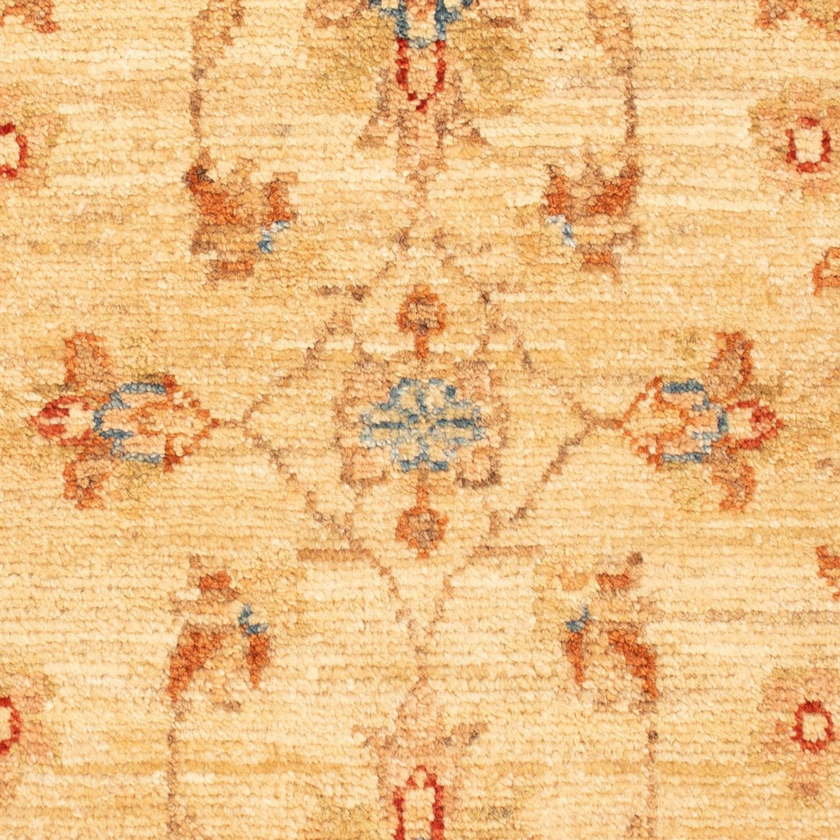 Tappeto Ziegler - 76 x 54 cm - beige