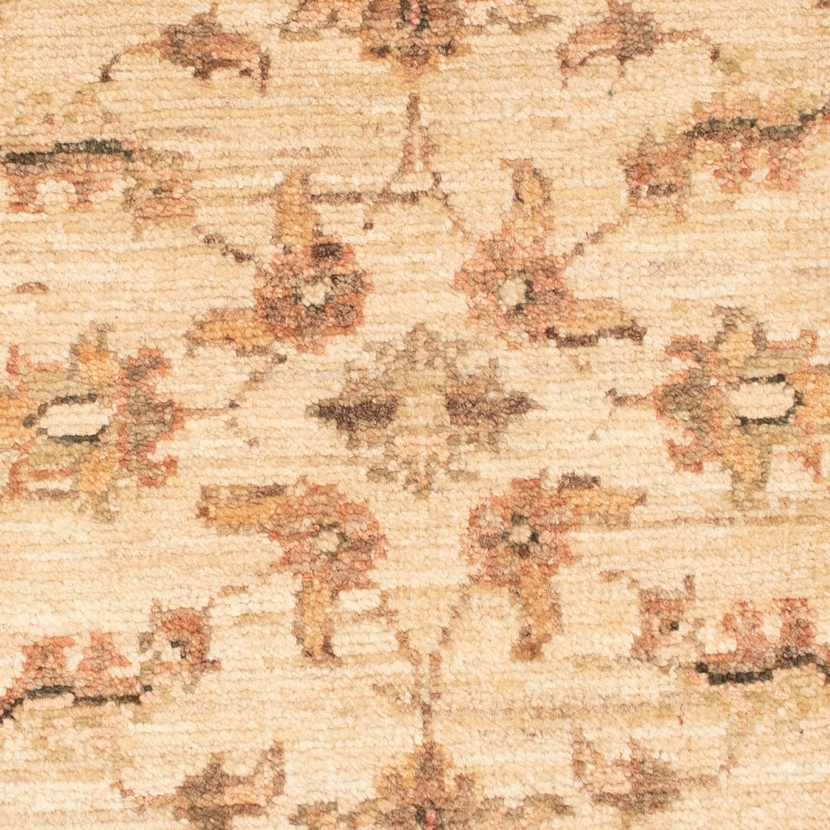 Tappeto Ziegler - 71 x 49 cm - beige
