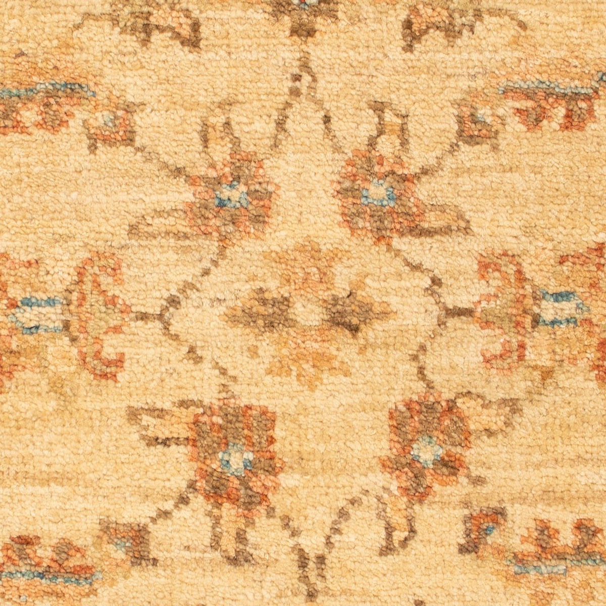 Tappeto Ziegler - 70 x 50 cm - beige