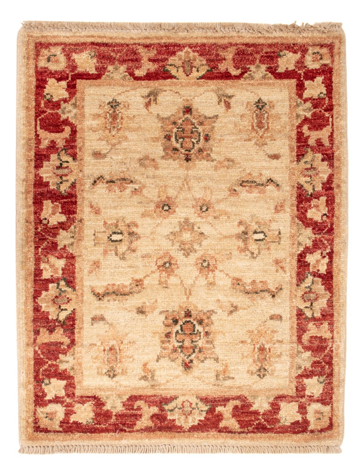 Tappeto Ziegler - 62 x 50 cm - beige