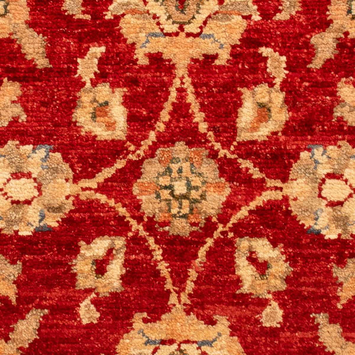 Tappeto Ziegler - 71 x 49 cm - rosso