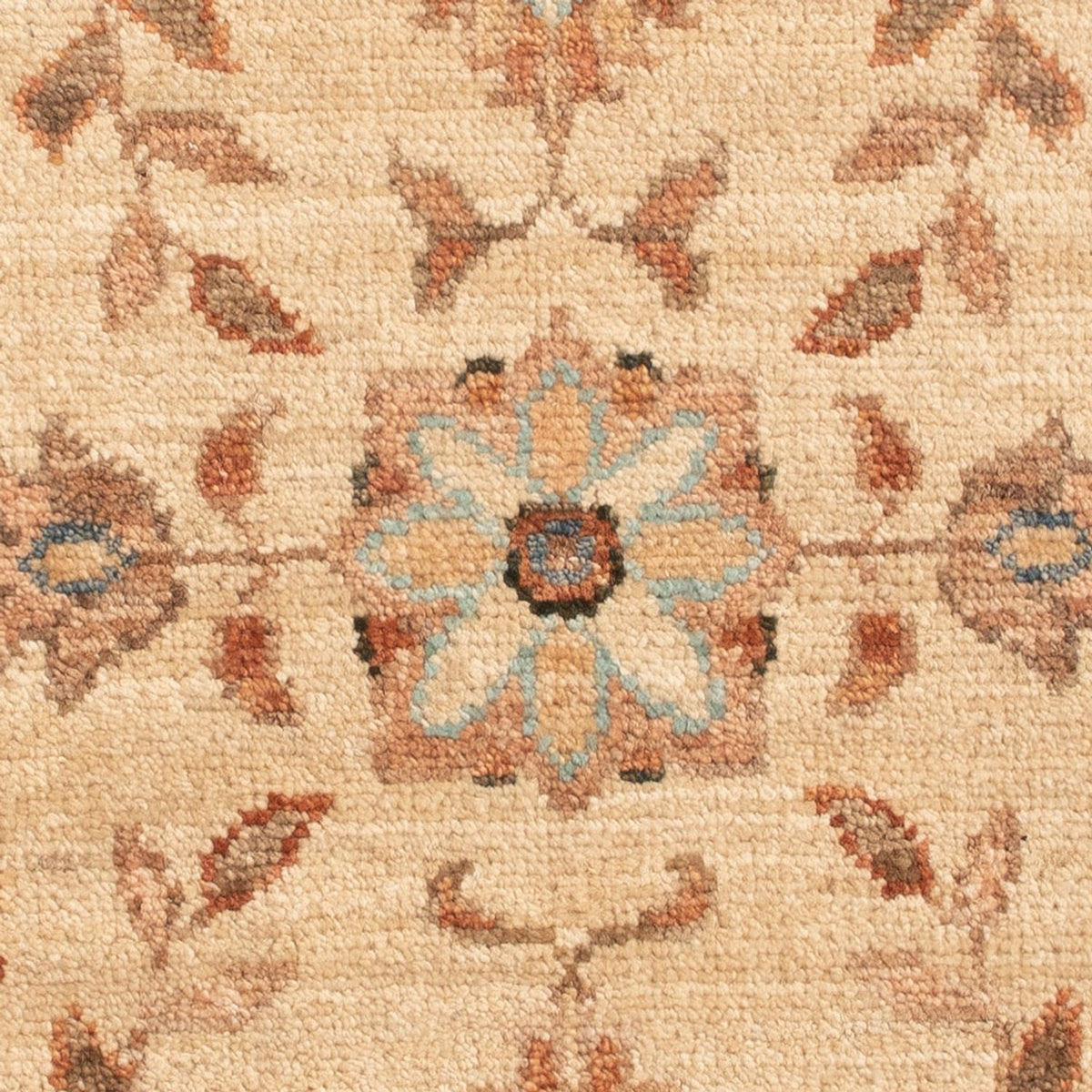 Tappeto Ziegler - 70 x 51 cm - beige
