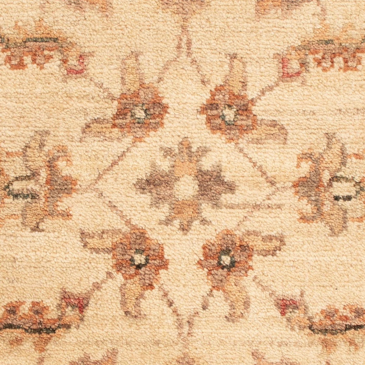 Tappeto Ziegler - 69 x 50 cm - beige