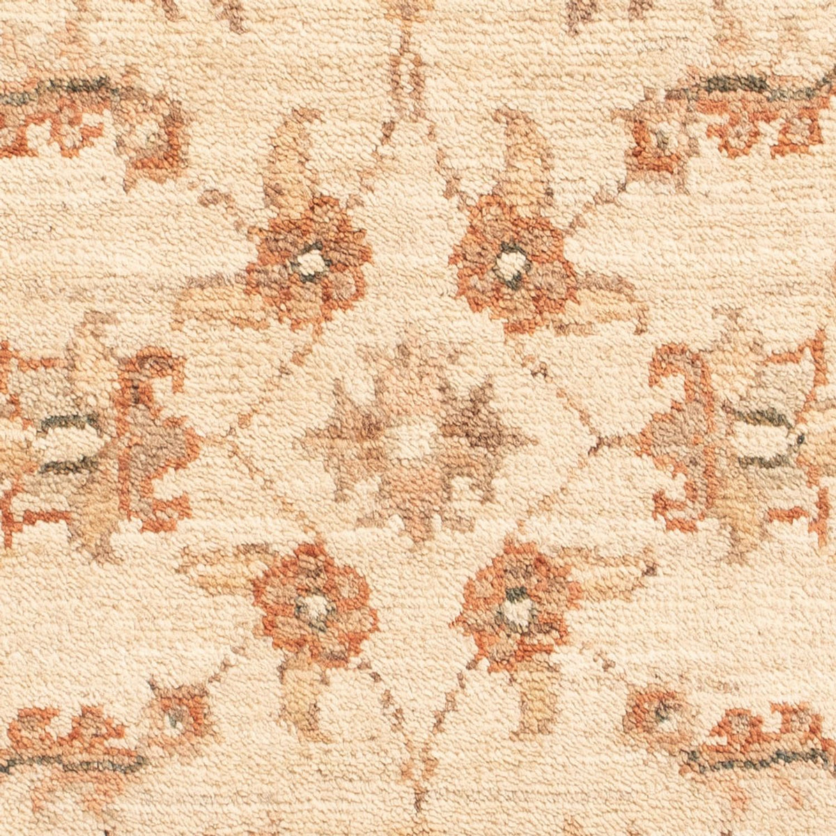 Tappeto Ziegler - 71 x 50 cm - beige