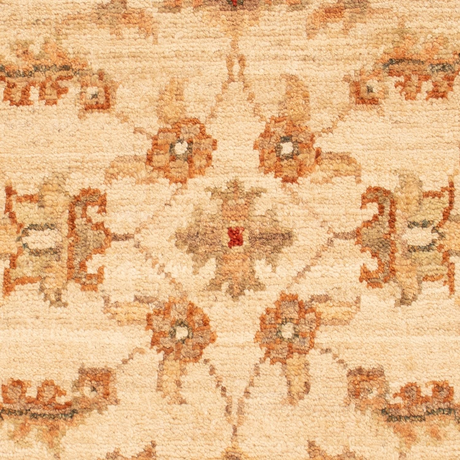 Tappeto Ziegler - 69 x 51 cm - beige