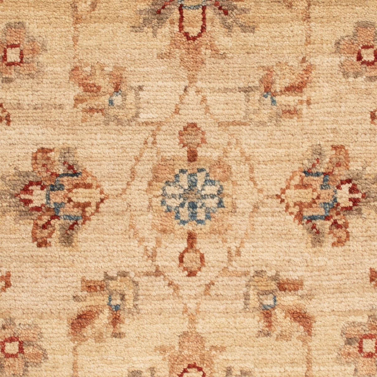 Tappeto Ziegler - 69 x 55 cm - beige
