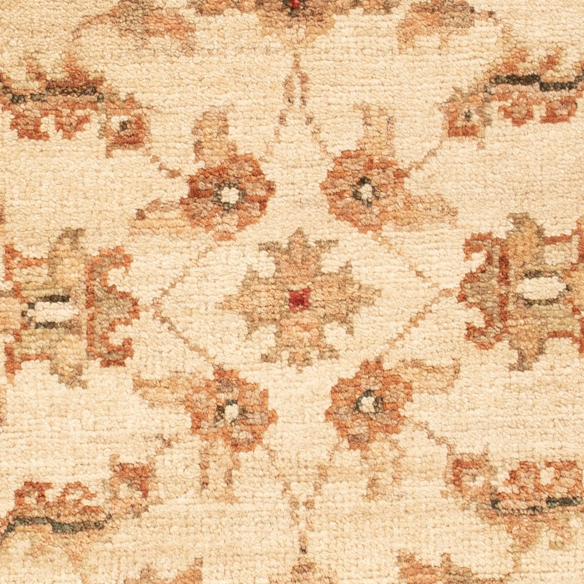 Tappeto Ziegler - 70 x 51 cm - beige