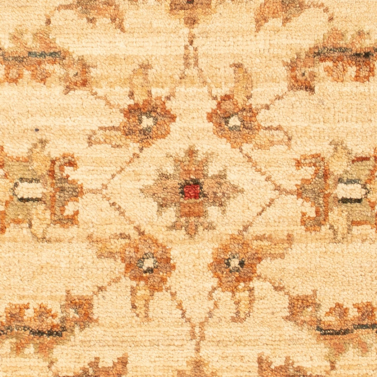 Tappeto Ziegler - 67 x 50 cm - beige