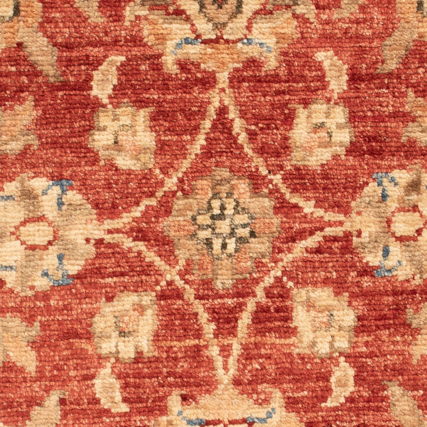 Tappeto Ziegler - 74 x 50 cm - rosso