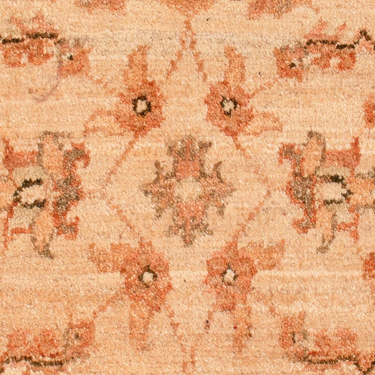 Tappeto Ziegler - 73 x 56 cm - beige