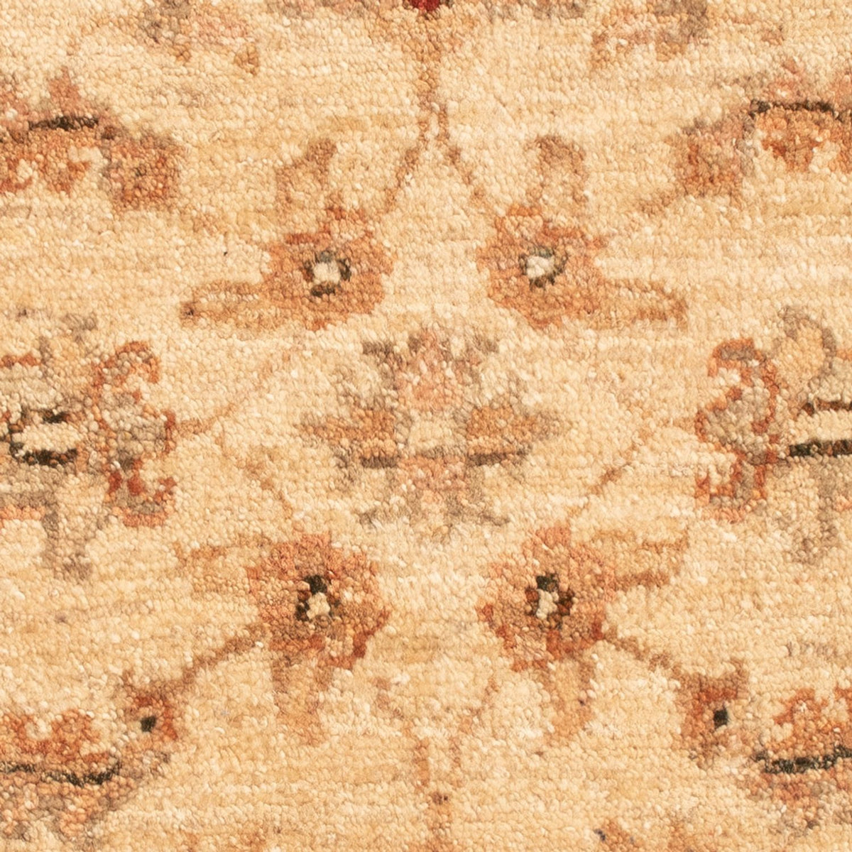 Tappeto Ziegler - 66 x 51 cm - beige