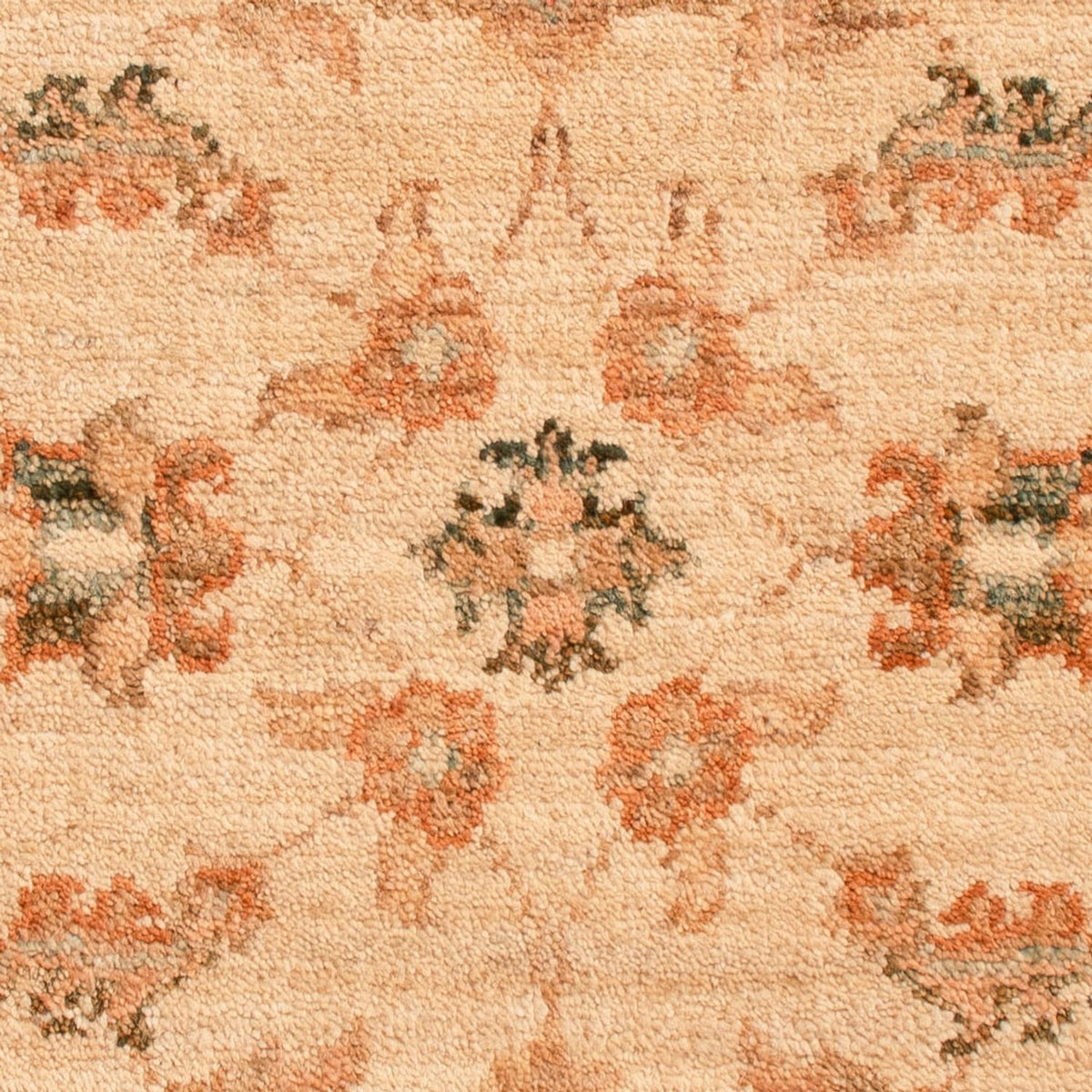Tappeto Ziegler - 70 x 52 cm - beige