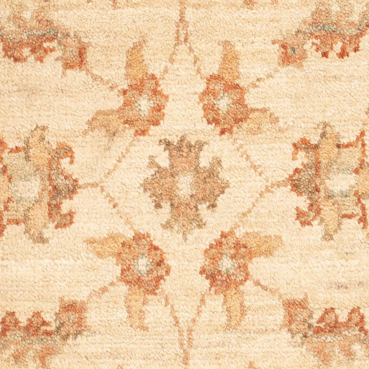 Tappeto Ziegler - 70 x 50 cm - beige
