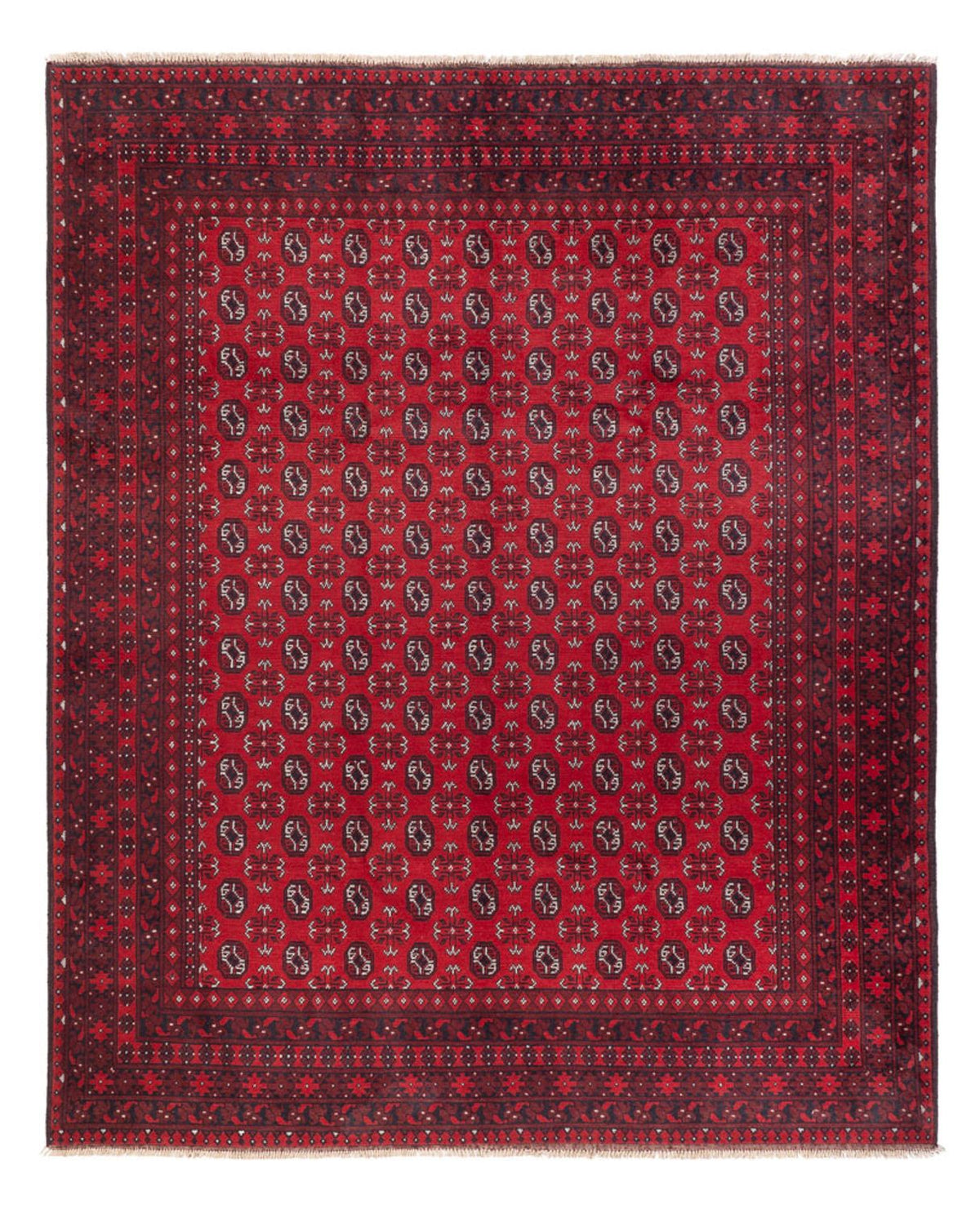 Tappeto afgano - Filpa - 302 x 245 cm - rosso