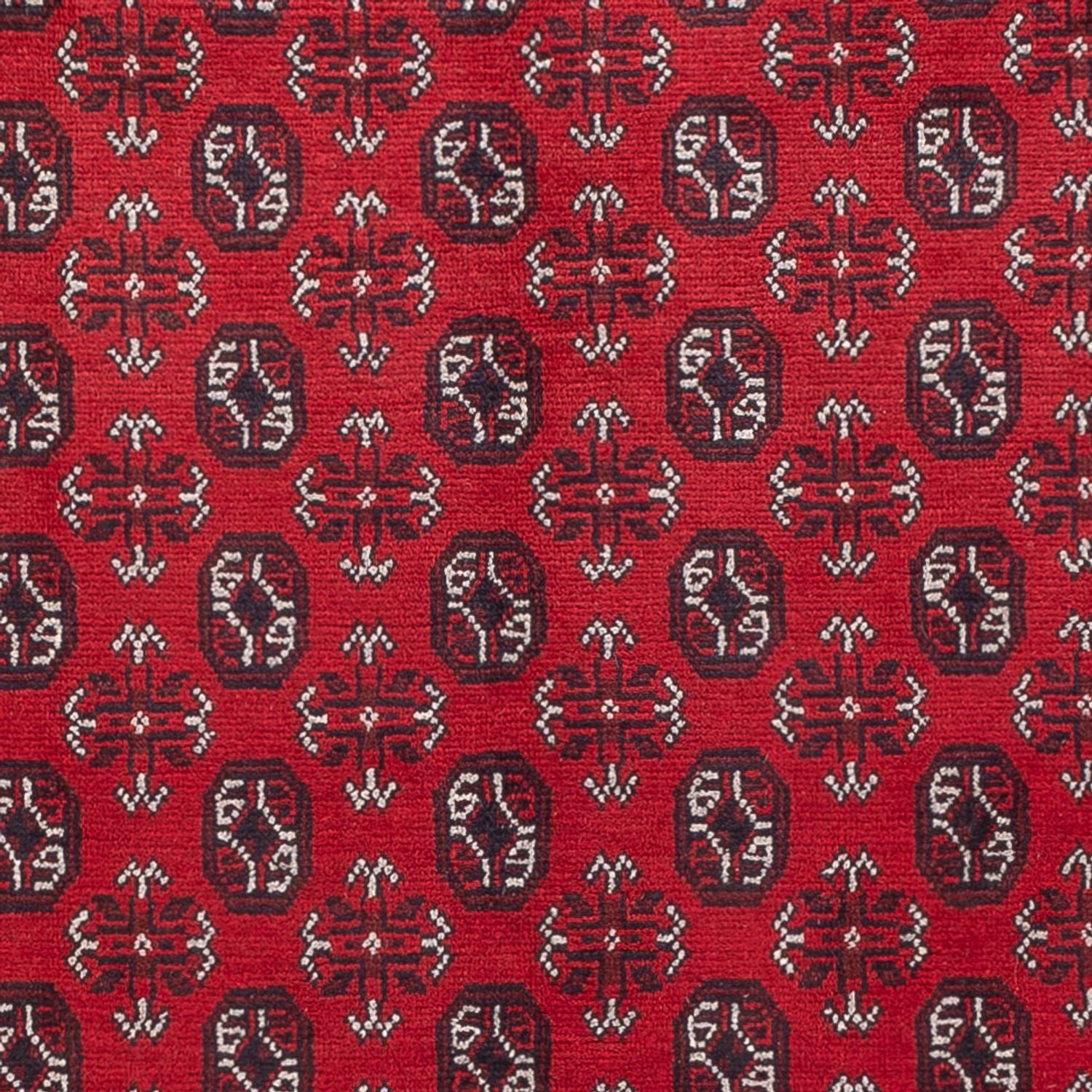 Tappeto afgano - Filpa - 302 x 245 cm - rosso