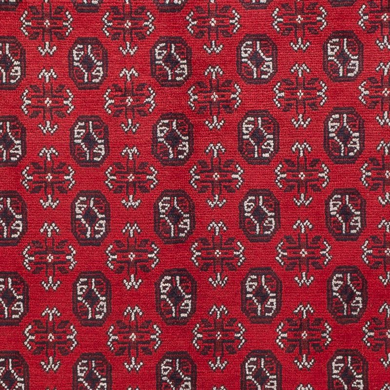 Tappeto afgano - Filpa - 302 x 245 cm - rosso