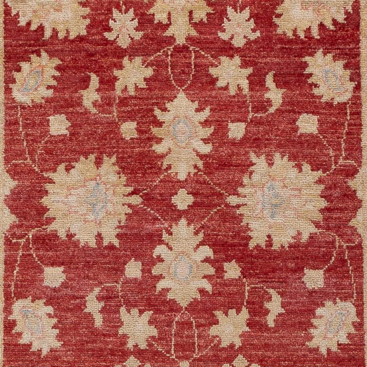 Tappeto corsia Tappeto Ziegler - 256 x 81 cm - rosso