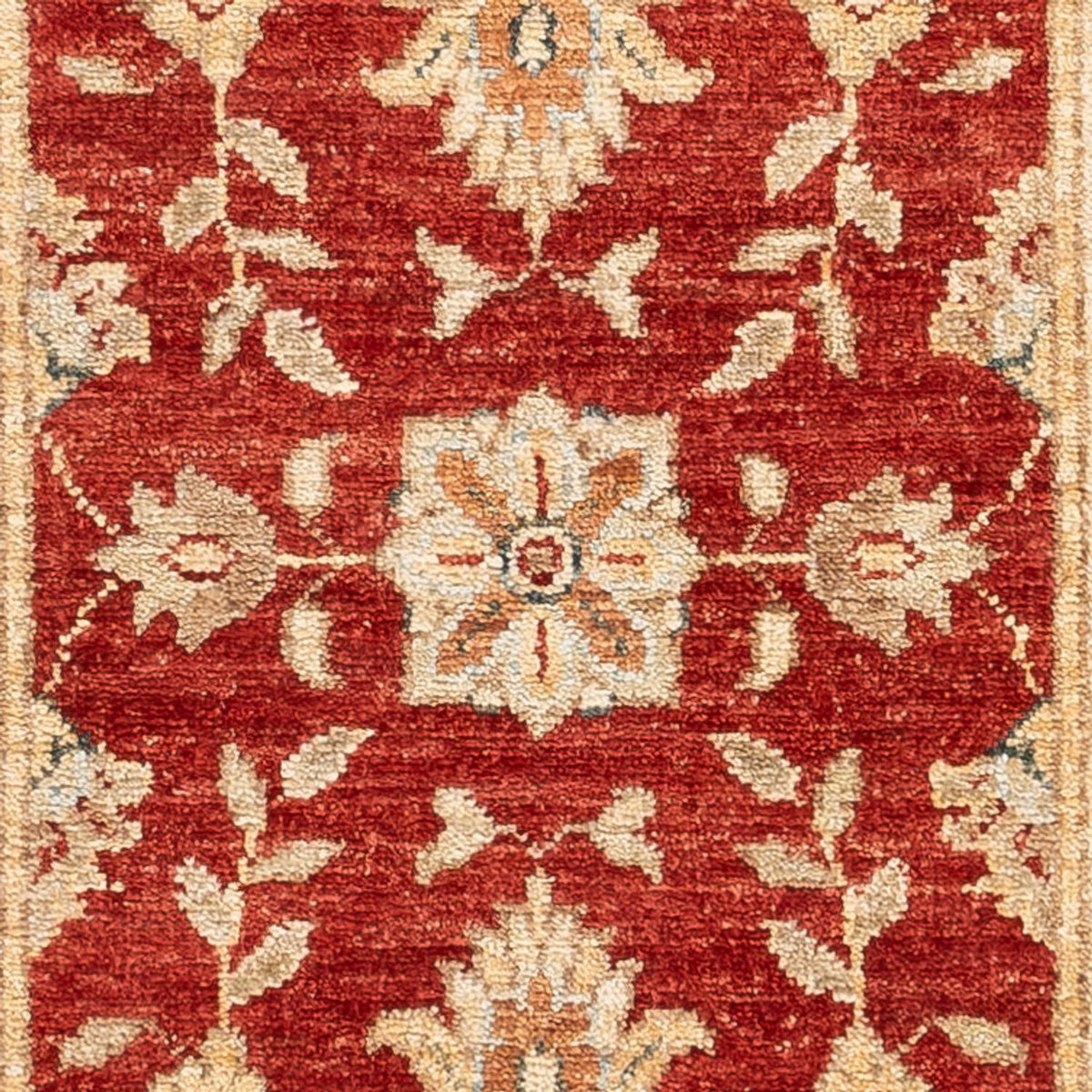Tappeto corsia Tappeto Ziegler - 148 x 51 cm - rosso