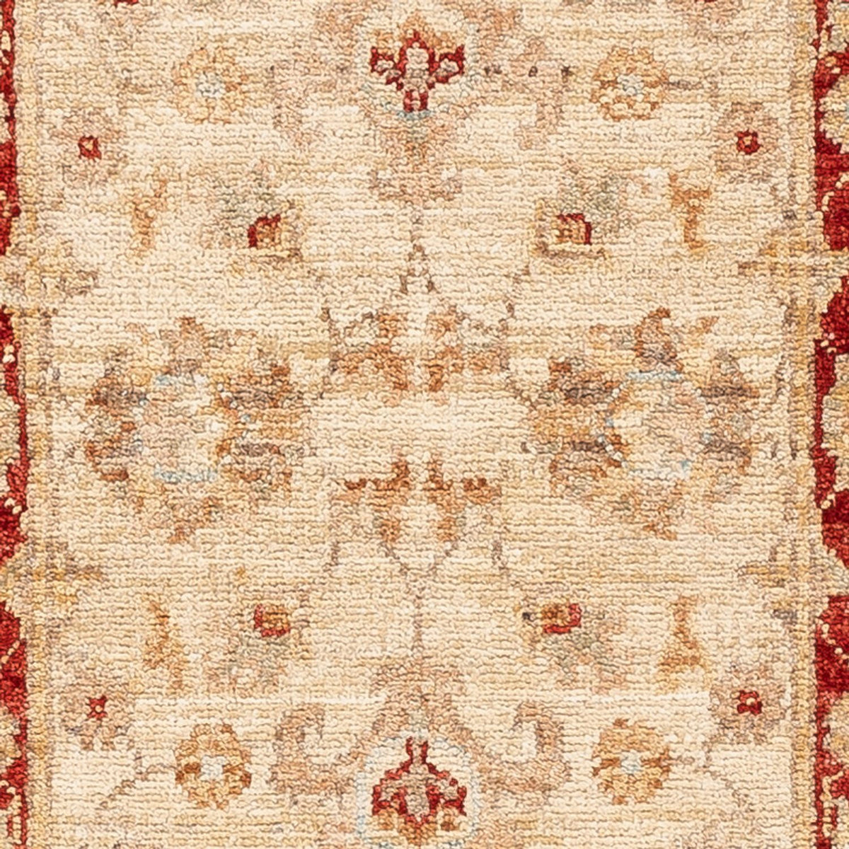Tappeto corsia Tappeto Ziegler - 153 x 50 cm - beige