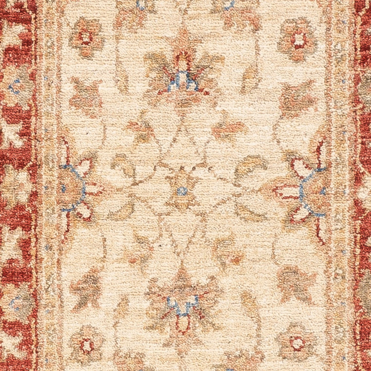 Tappeto corsia Tappeto Ziegler - 157 x 49 cm - beige