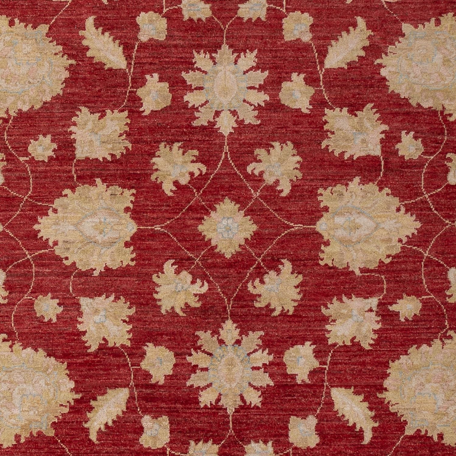 Tappeto Ziegler - 299 x 206 cm - rosso scuro