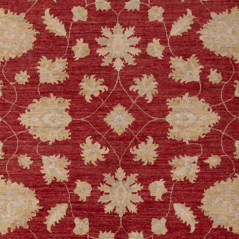 Tappeto Ziegler - 299 x 206 cm - rosso scuro