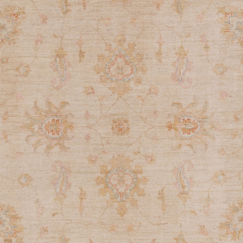 Tappeto Ziegler - 296 x 200 cm - beige