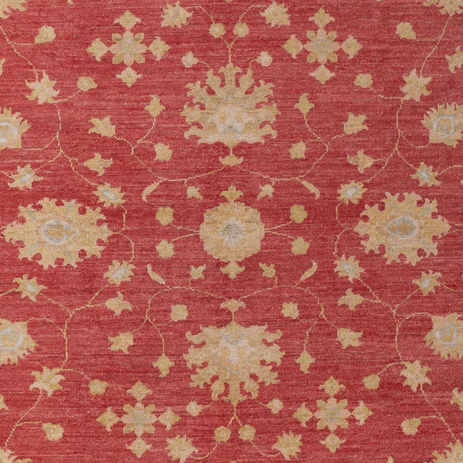 Tappeto Ziegler - 296 x 203 cm - rosso scuro
