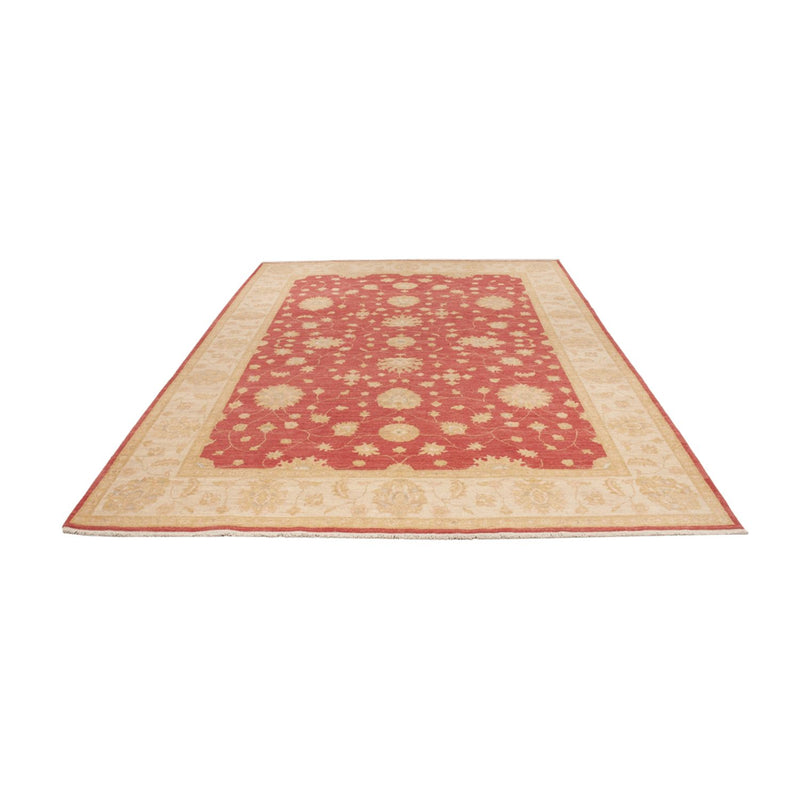 Tappeto Ziegler - 296 x 203 cm - rosso scuro