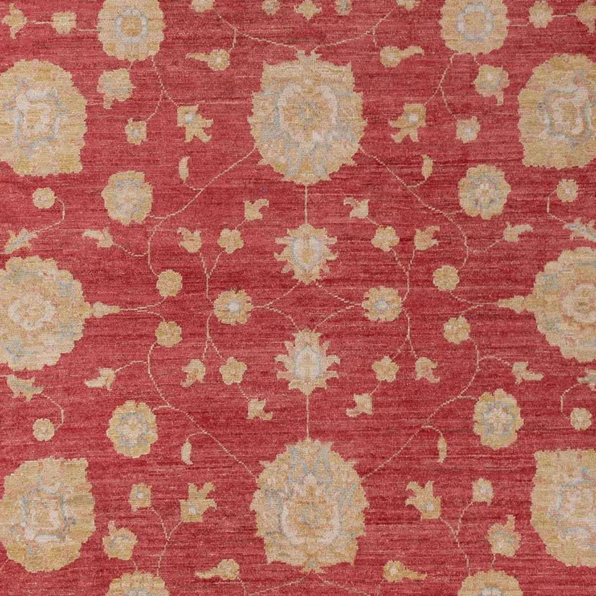 Tappeto Ziegler - 320 x 207 cm - rosso scuro