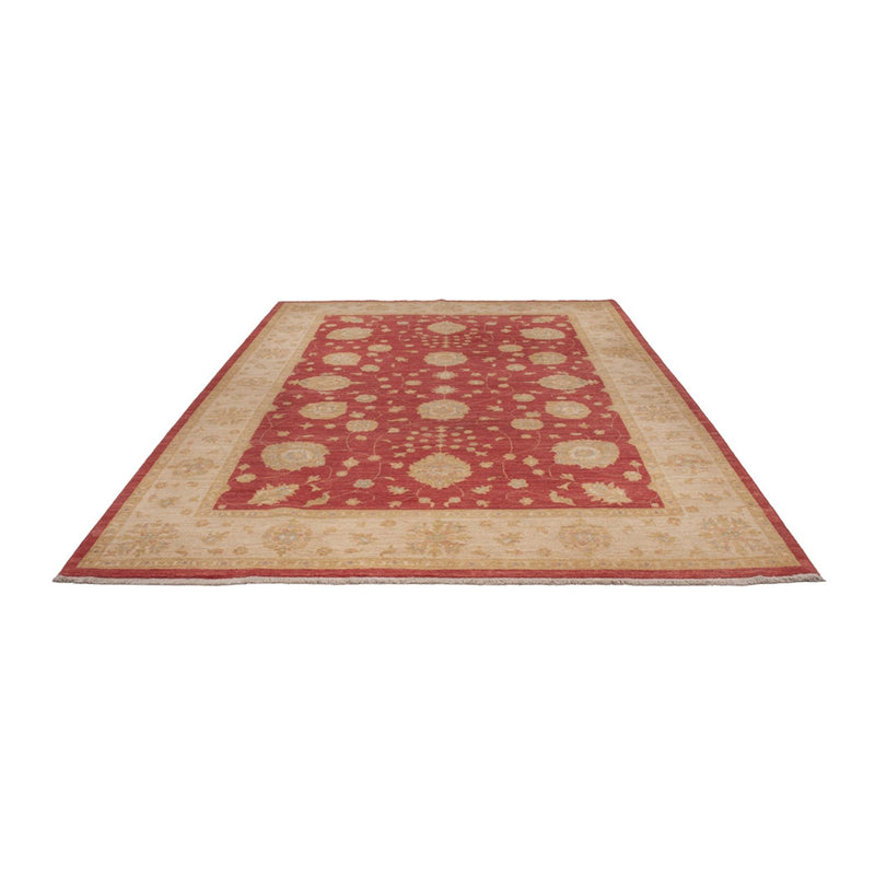 Tappeto Ziegler - 320 x 207 cm - rosso scuro