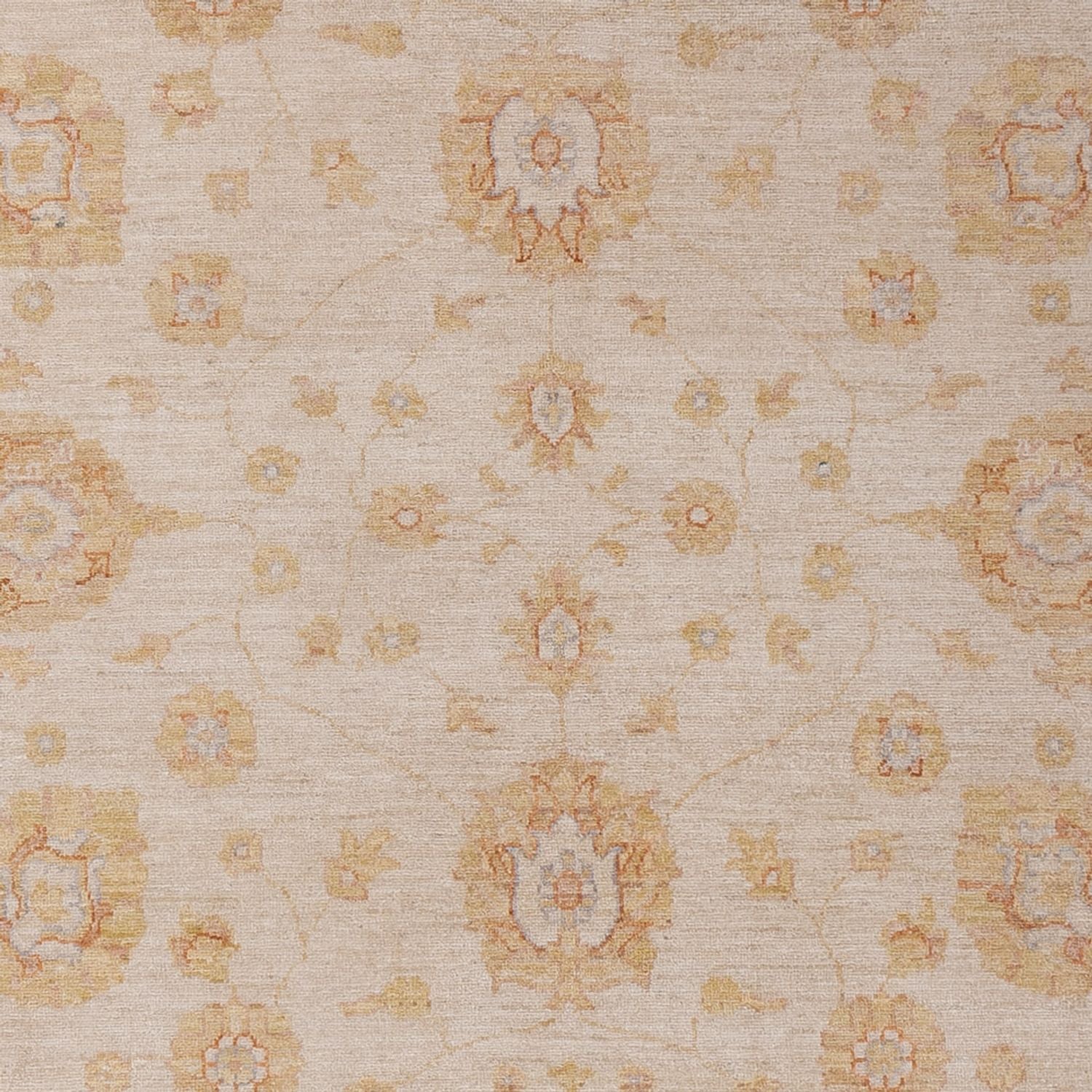 Tappeto Ziegler - 292 x 206 cm - beige