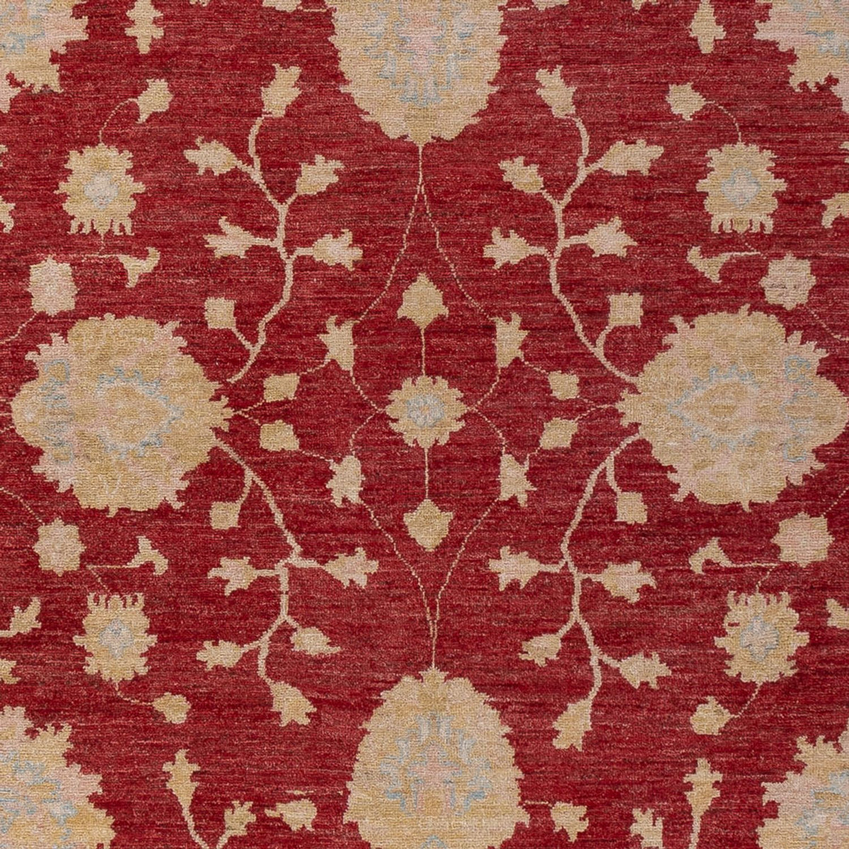 Tappeto Ziegler - 300 x 205 cm - rosso scuro