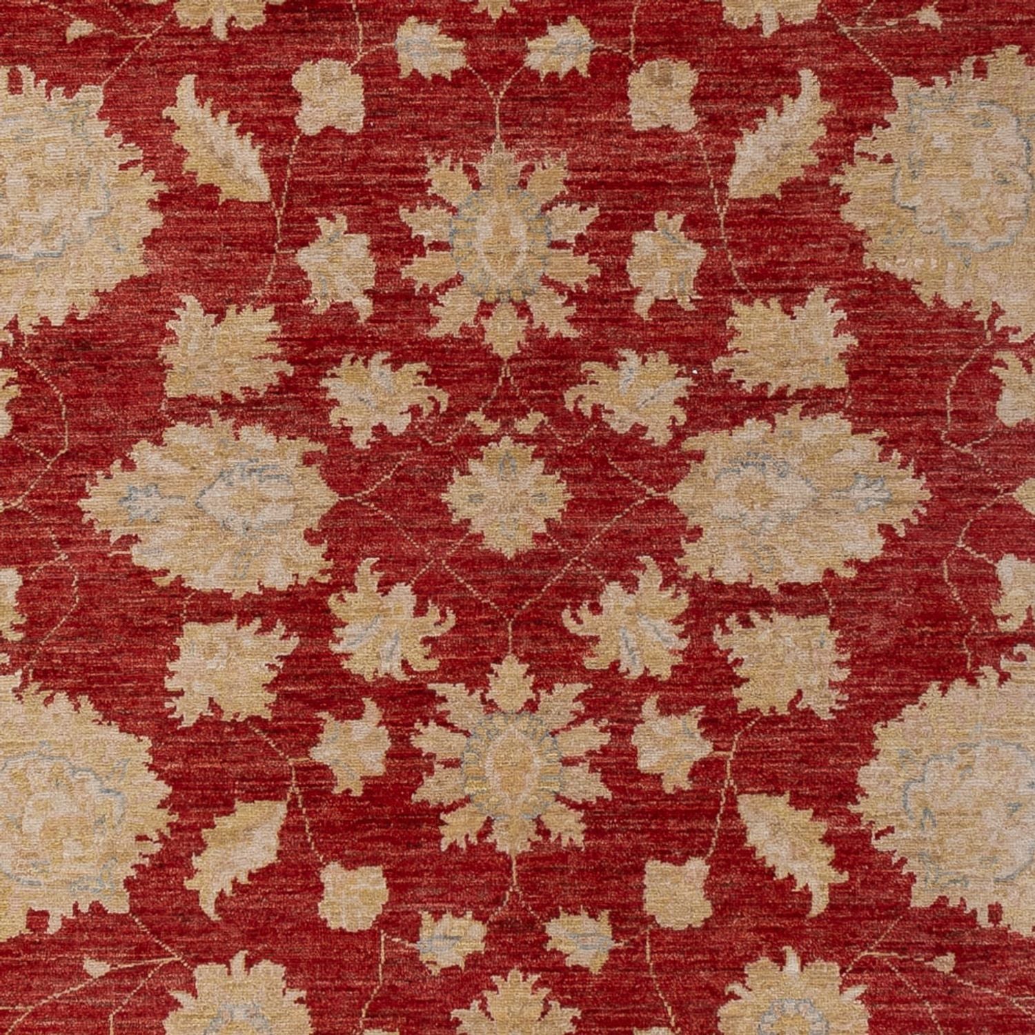 Tappeto Ziegler - 295 x 201 cm - rosso scuro