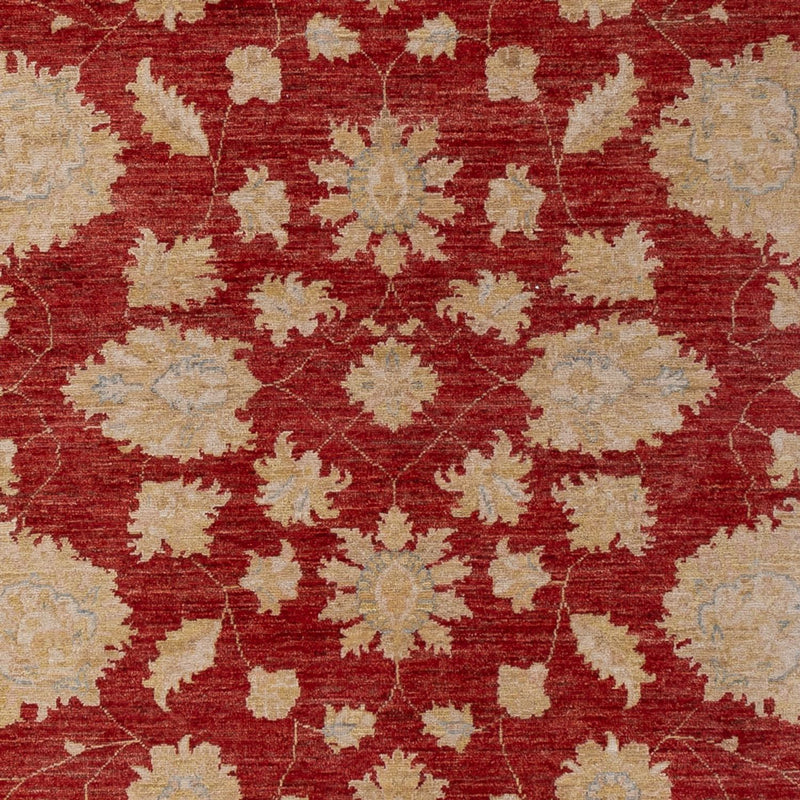 Tappeto Ziegler - 295 x 201 cm - rosso scuro