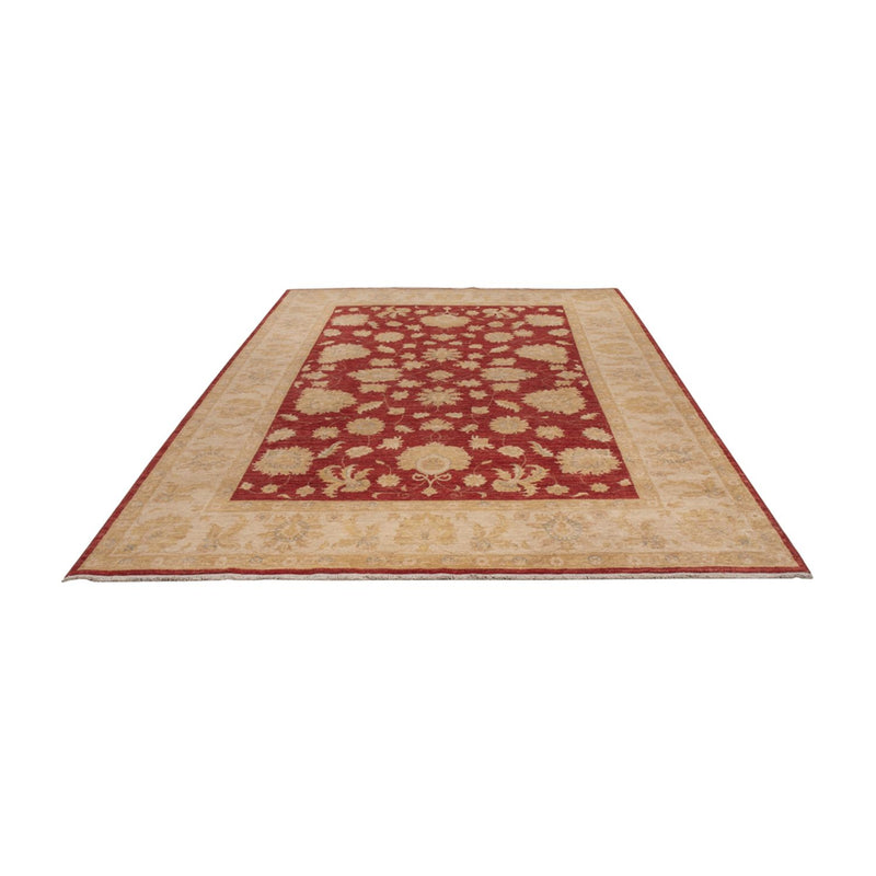 Tappeto Ziegler - 295 x 201 cm - rosso scuro