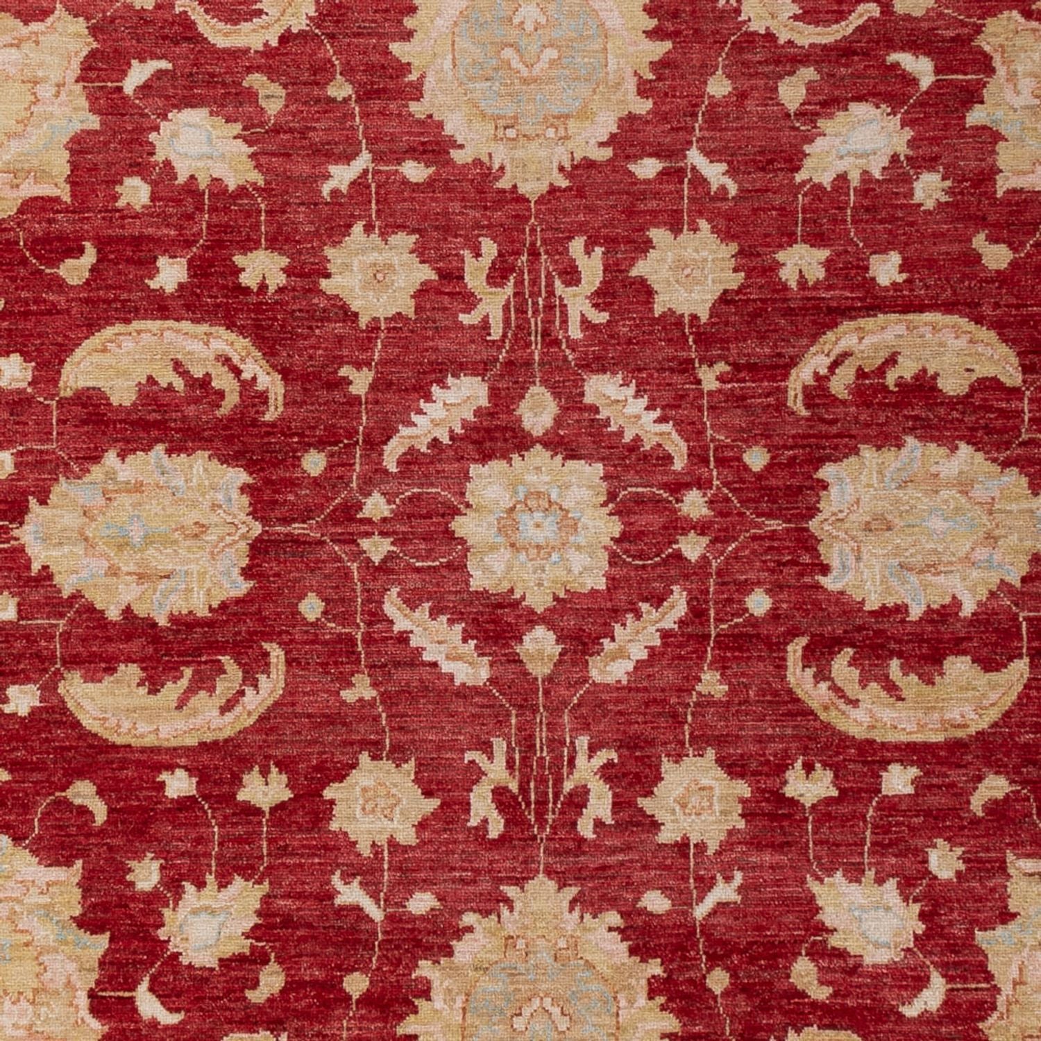 Tappeto Ziegler - 303 x 204 cm - rosso scuro