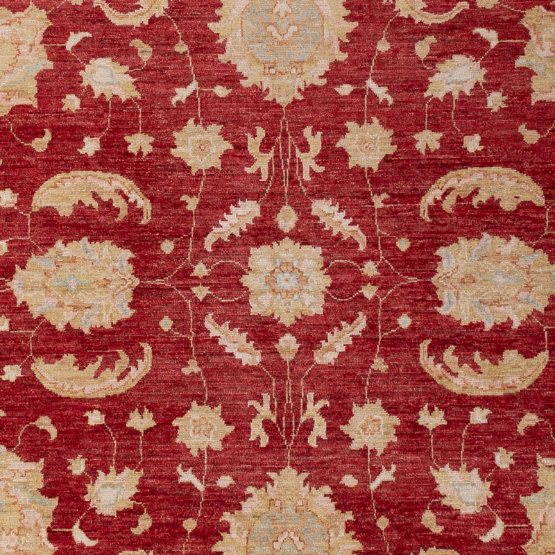 Tappeto Ziegler - 303 x 204 cm - rosso scuro