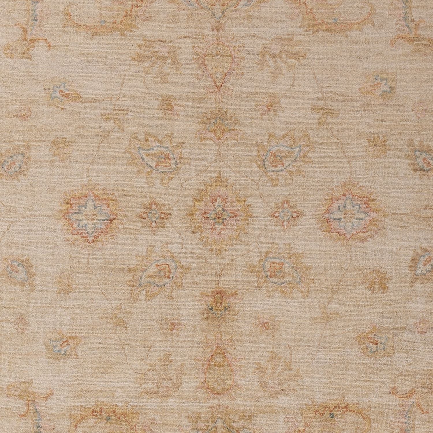 Tappeto Ziegler - 304 x 206 cm - beige