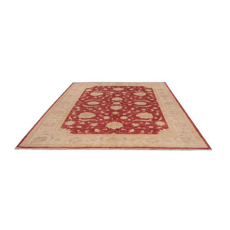Tappeto Ziegler - 290 x 204 cm - rosso scuro