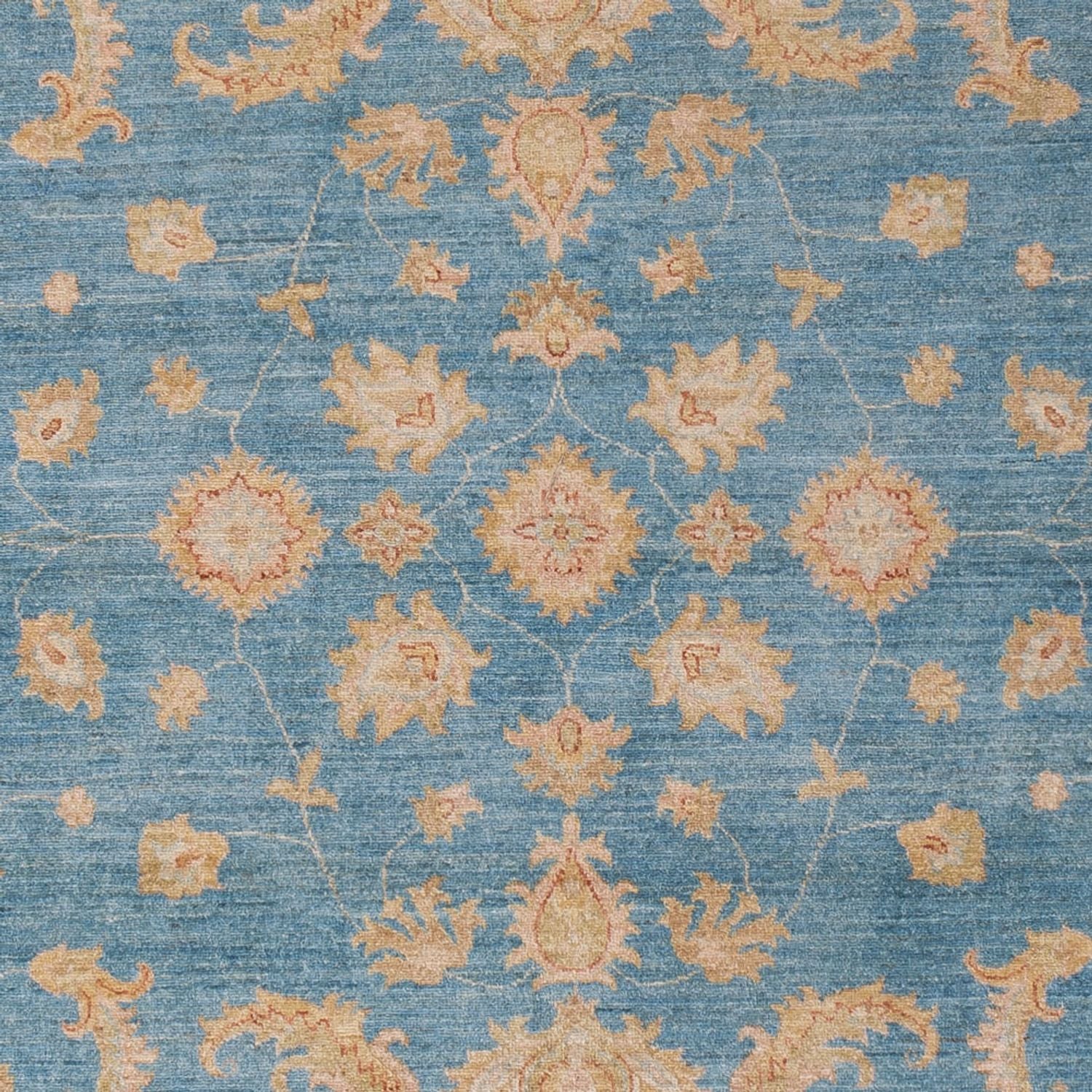 Tappeto Ziegler - 301 x 202 cm - blu chiaro