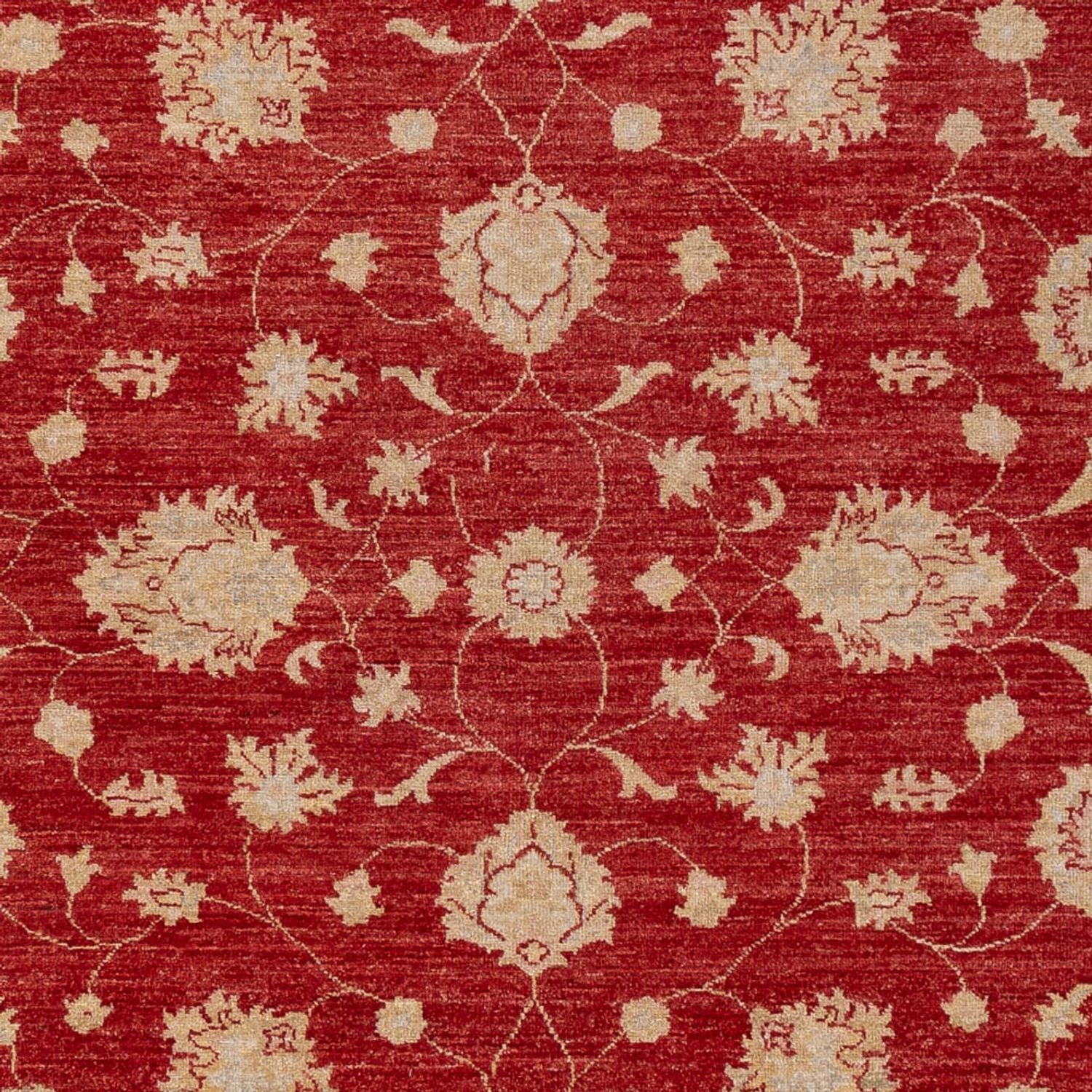 Tappeto Ziegler - 298 x 210 cm - rosso