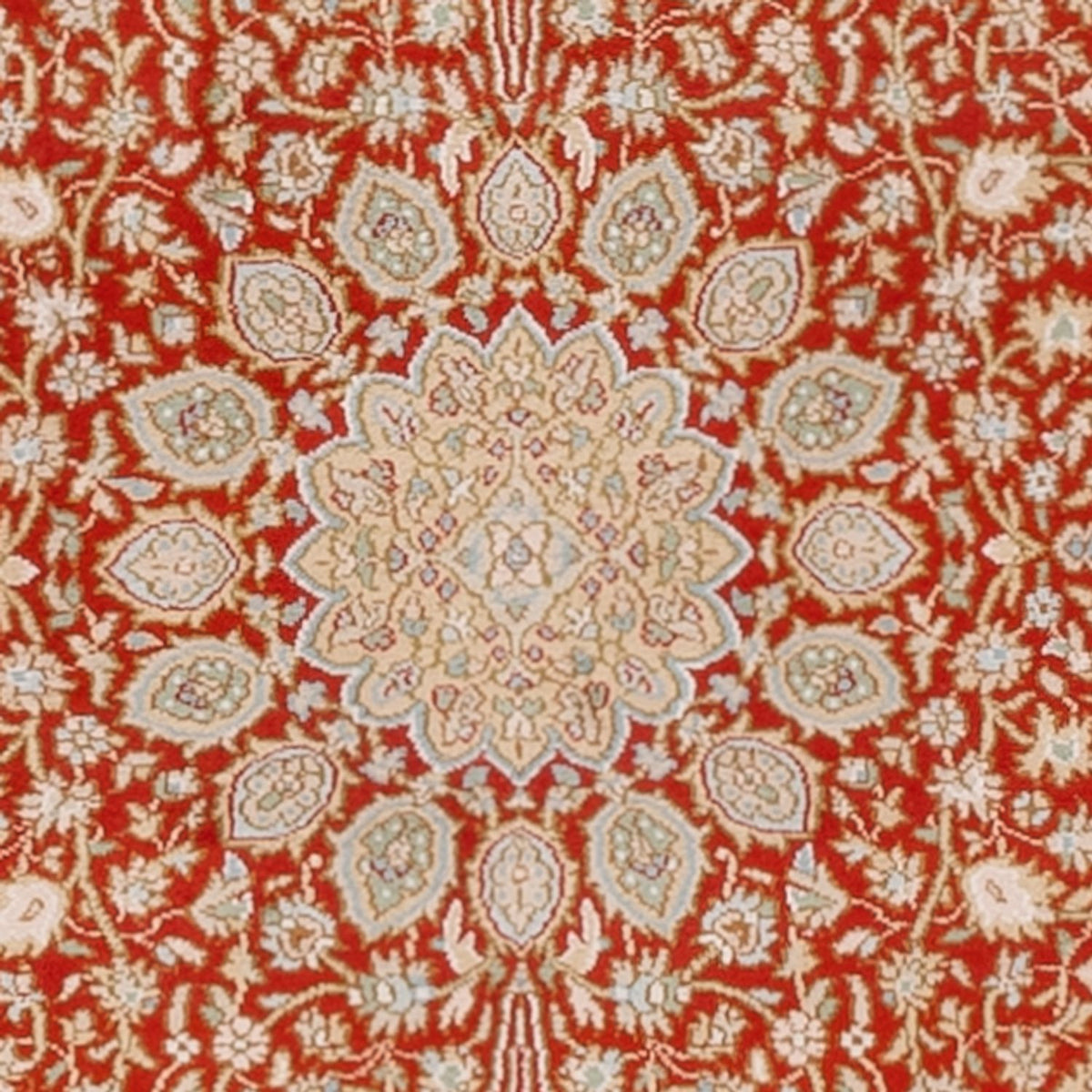 Tappeto corsia Tappeto di seta - Seta del Kashmir - 251 x 79 cm - rosso
