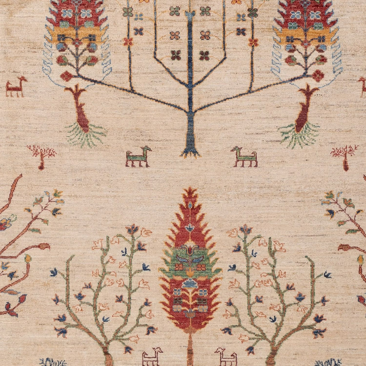 Tappeto Ziegler - Ariana - 299 x 209 cm - beige