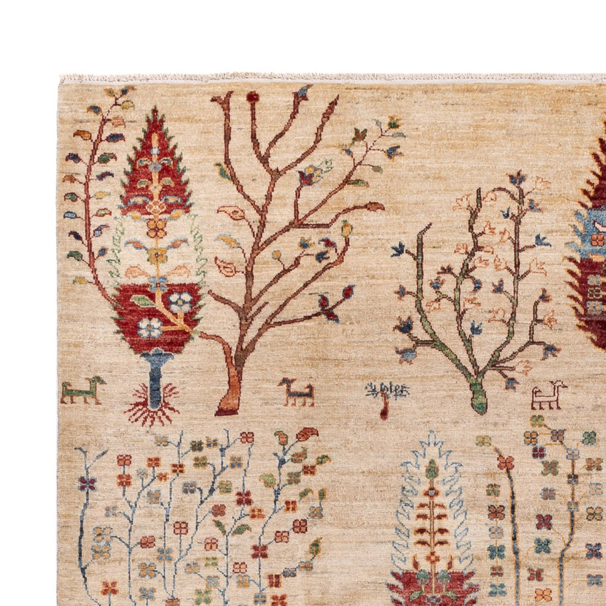 Tappeto Ziegler - Ariana - 299 x 209 cm - beige